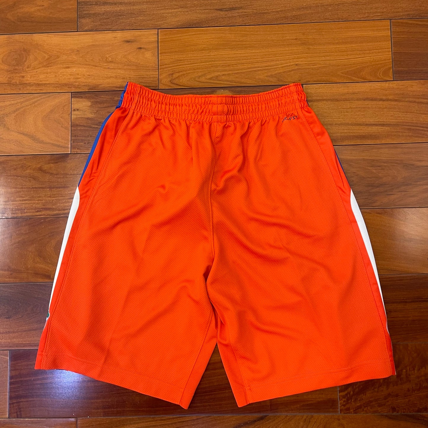 Nike Jordan Dri-Fit Florida Gators Performance Shorts