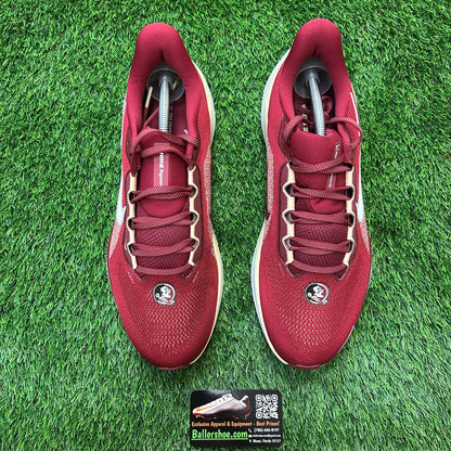 Nike Air Zoom Pegasus 41 Florida State Seminoles Shoes