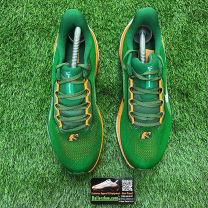 Nike Air Zoom Pegasus 41 Florida A&M Rattlers Shoes