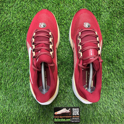 Nike Air Zoom Pegasus 41 Florida State Seminoles Shoes