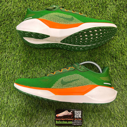 Nike Air Zoom Pegasus 41 Florida A&M Rattlers Shoes