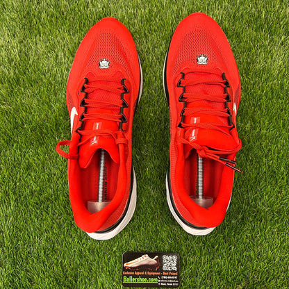 Nike Air Zoom Pegasus 41 Georgia Bulldogs Shoes